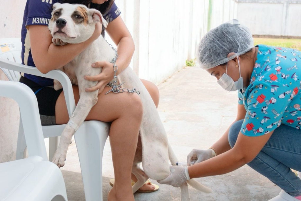 image-14-1024x684 Associação Patinhas do Marajó vira utilidade pública e fortalece luta pelo bem-estar animal no arquipélago