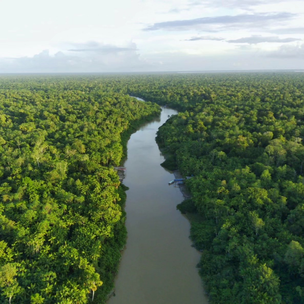image-12-1024x1024 Netflora revoluciona o monitoramento da floresta com drones e saberes da Amazônia