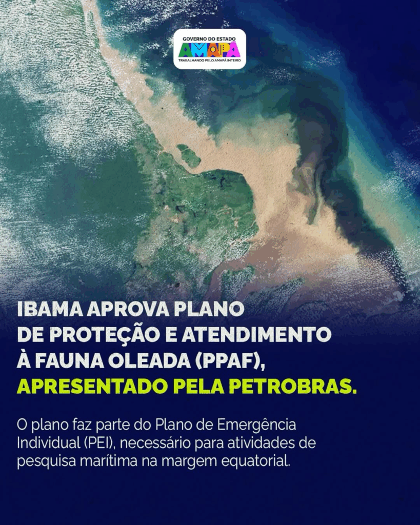 image-28-819x1024 Amapá: Ibama aprova plano de proteção à fauna; Licenciamento de petróleo avança com cautela